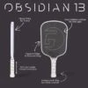 Gamma Obsidian 13 Black Pickleball Paddle