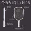 Gamma Obsidian 16 Black Pickleball Paddle